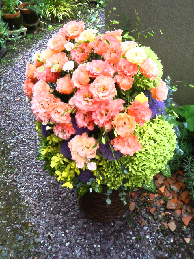 e0080524_022637.jpg