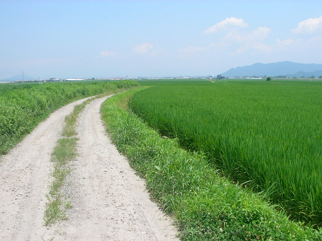 e0089227_1705337.jpg