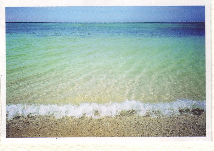 f0023329_133119100.jpg