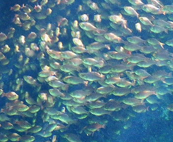 f0107433_15202426.jpg