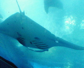 f0107433_15262685.jpg