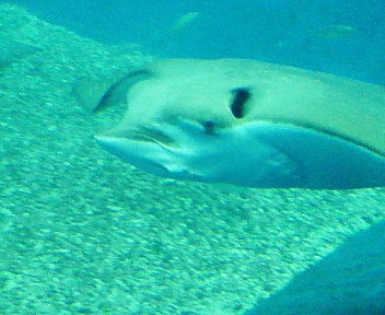 f0107433_15264575.jpg