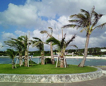 f0107433_1534154.jpg