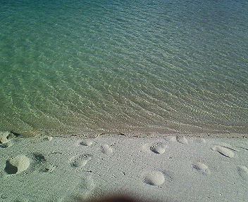 f0107433_1534315.jpg