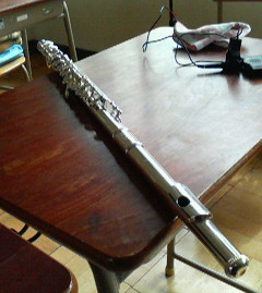 f0101038_2052321.jpg