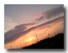 d0048140_4581257.jpg