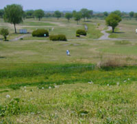 f0072560_1355311.jpg