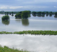 f0072560_13562136.jpg