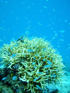 b0062363_1973093.jpg