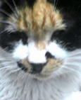 c0028664_0123167.jpg
