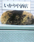 c0028664_0132233.jpg