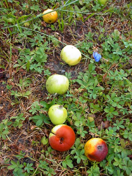 f0032969_18504528.jpg
