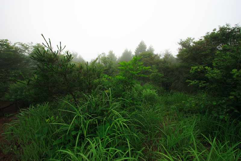 c0030874_6351434.jpg