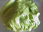 f0001781_1351923.jpg