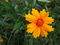b0073782_13562522.jpg