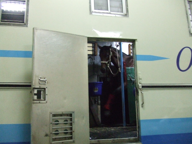 e0050801_224789.jpg