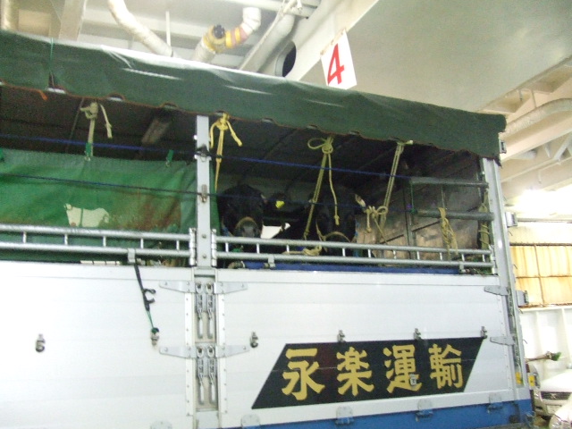 e0050801_22481171.jpg
