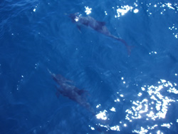 f0048405_10495784.jpg