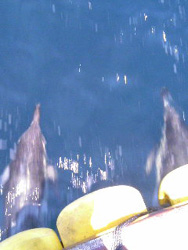 f0048405_10501339.jpg