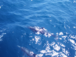 f0048405_1050568.jpg