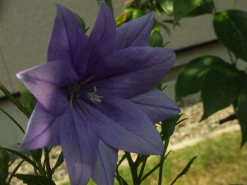 f0041606_2126313.jpg