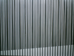 e0038811_6365395.jpg