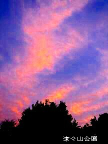 f0000521_458331.jpg
