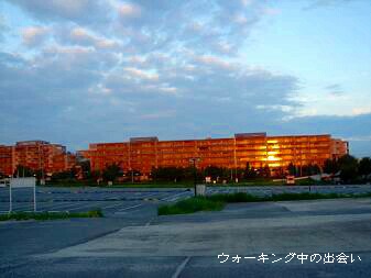 f0000521_515166.jpg