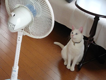 f0002833_05820.jpg