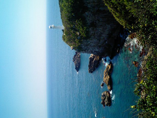 a0072036_733834.jpg