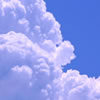 a0050838_8294410.jpg