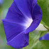 a0050838_8332740.jpg