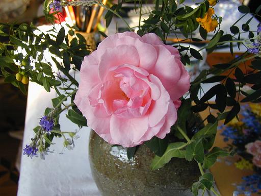b0089338_2583525.jpg