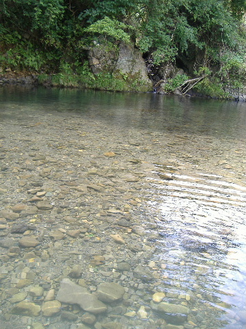 f0082141_17351143.jpg