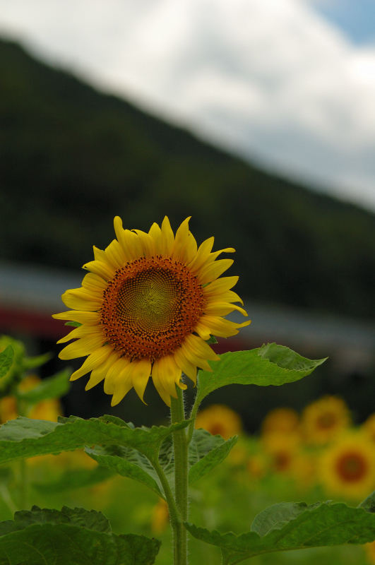 f0049152_2252318.jpg