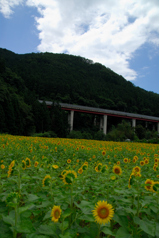 f0049152_22525677.jpg