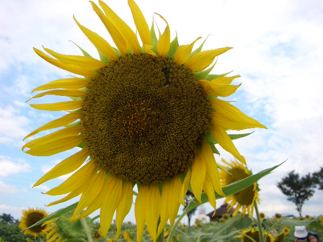 b0095760_21245461.jpg