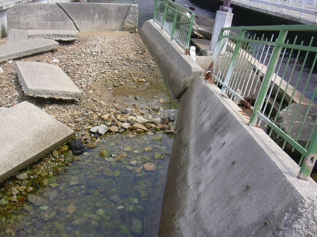 d0048366_74523.jpg