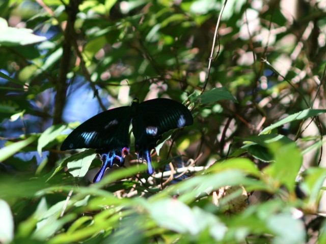 b0088772_2001429.jpg