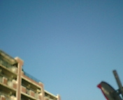 f0089775_7512998.jpg