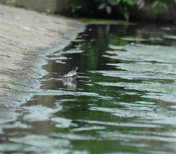 e0015377_2012998.jpg
