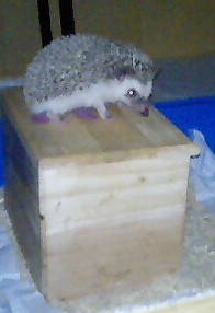 c0084379_2115525.jpg