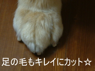 a0042295_9482236.jpg