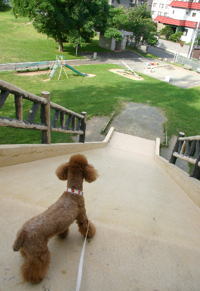 f0001895_15263123.jpg