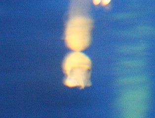 d0064399_5215081.jpg