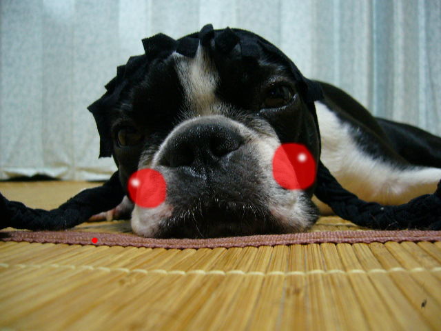 d0070702_1623285.jpg