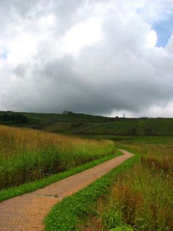 f0020302_17533138.jpg