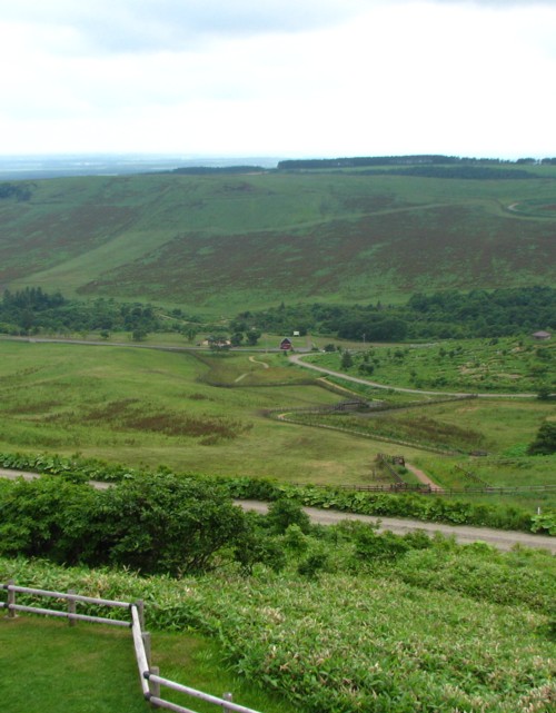 f0020302_17582029.jpg