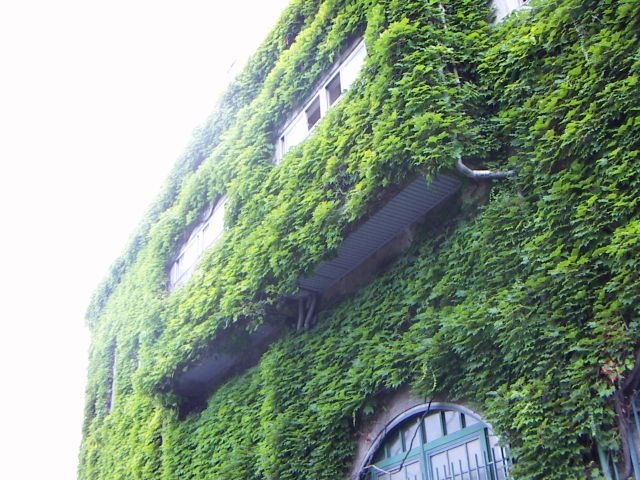 b0057103_14639100.jpg