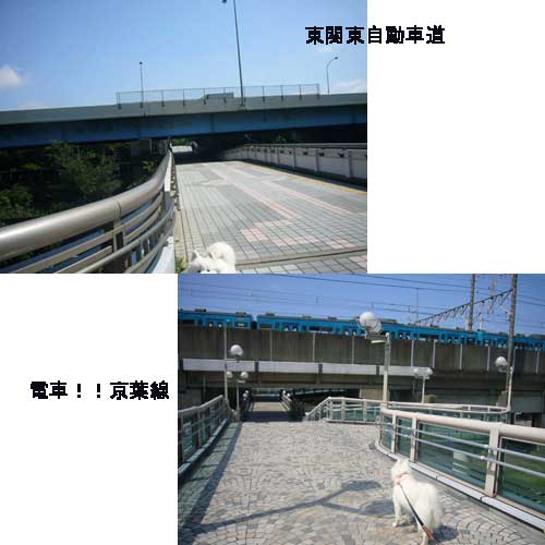 e0018604_13434628.jpg
